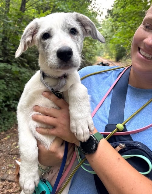 WREN - ADOPTION PENDING