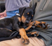 Black Betty - Photo 8