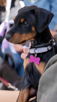 Black Betty - Photo 9