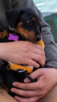 Black Betty - Photo 11