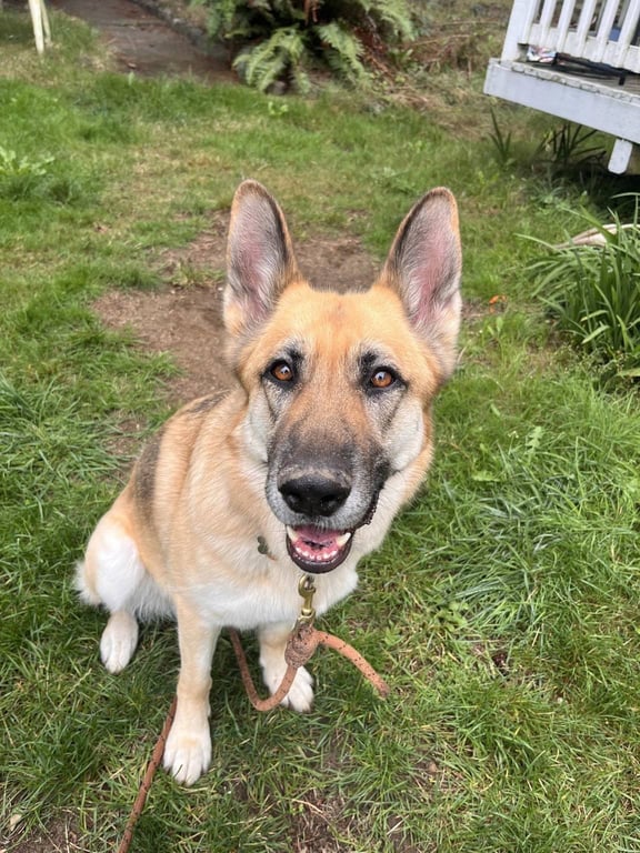 Zoey Image