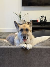 Zoey - Photo 14