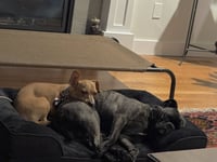 Raya - Photo 9