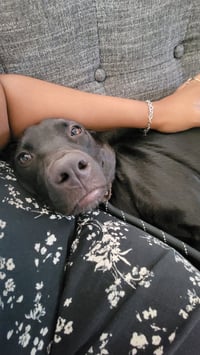 Sassy - Photo 4