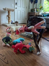 Mark Anthony - Photo 8