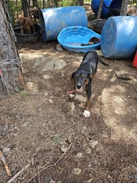 Mark Anthony - Photo 9