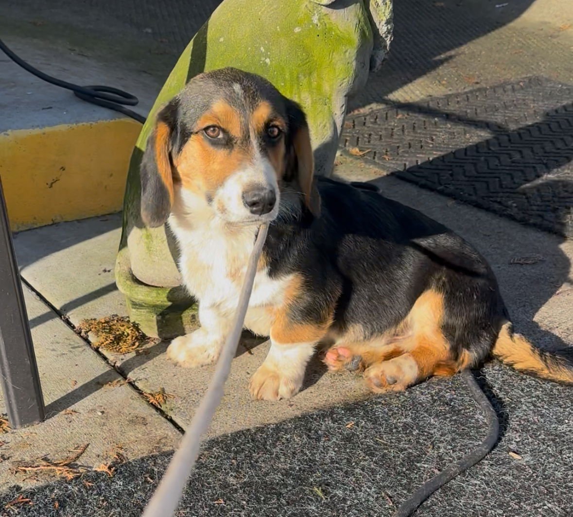 Dude - HOLD - Photo 3