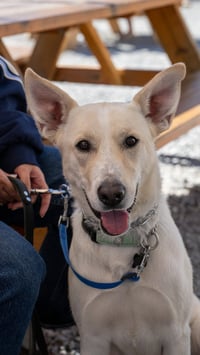 Elsa - Photo 11