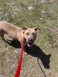 TIA - Photo 1