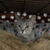 Wilma - Photo 1