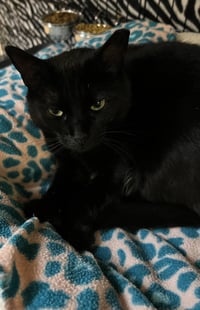Sharon - Photo 1