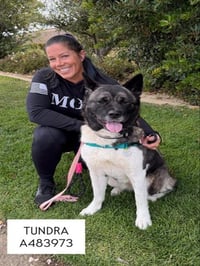 TUNDRA - Photo 1
