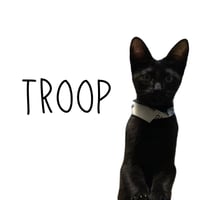 Troop - Photo 1