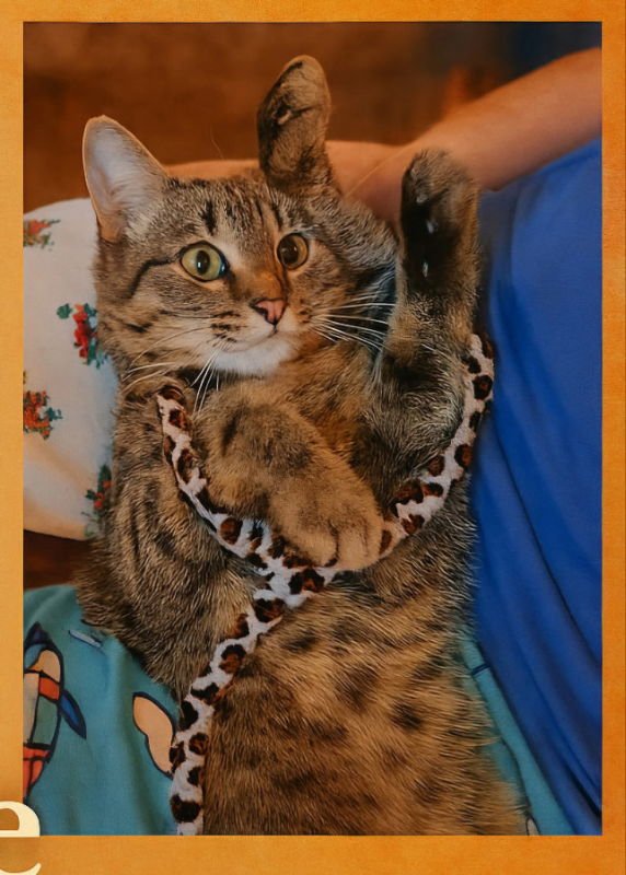 Morse Code - Photo 3