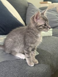 Bilbert - Photo 3