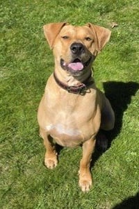 XP Micah - Photo 1