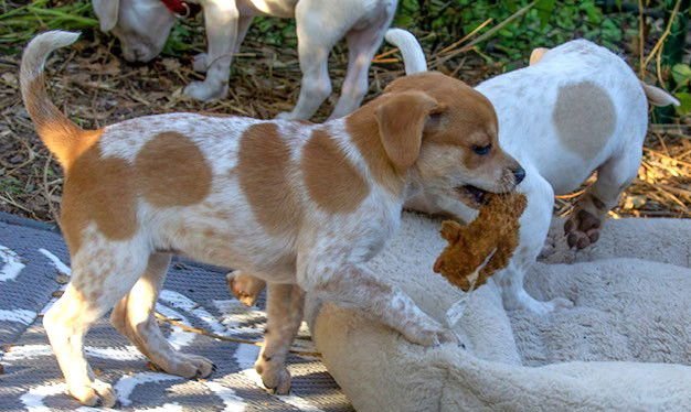 Heather's Tippy TX - Photo 3