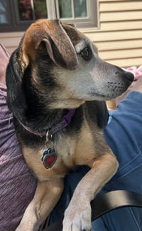 Lucy Nason NJ - Photo 4