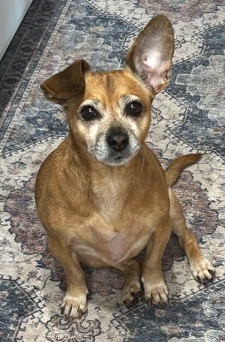 Lily Nason NJ Image