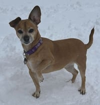 Lily Nason NJ - Photo 2