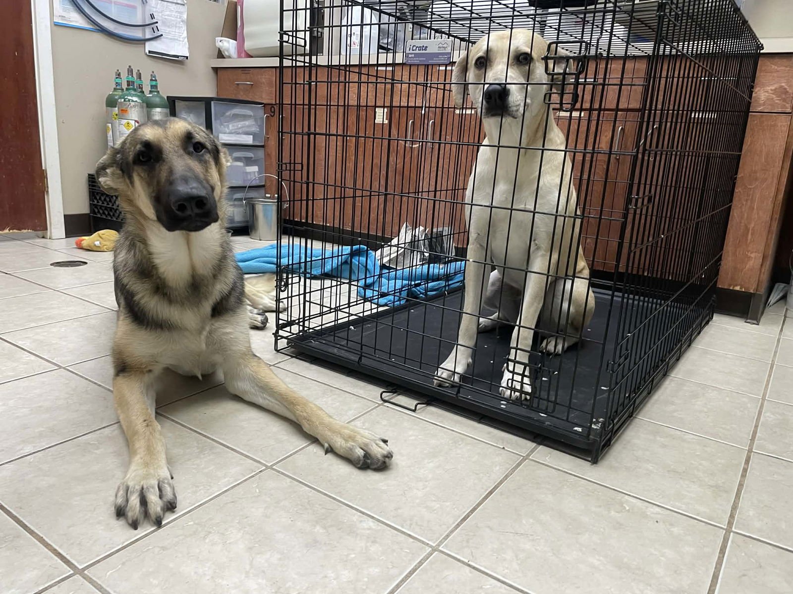 Ruger GSD TX - Photo 5