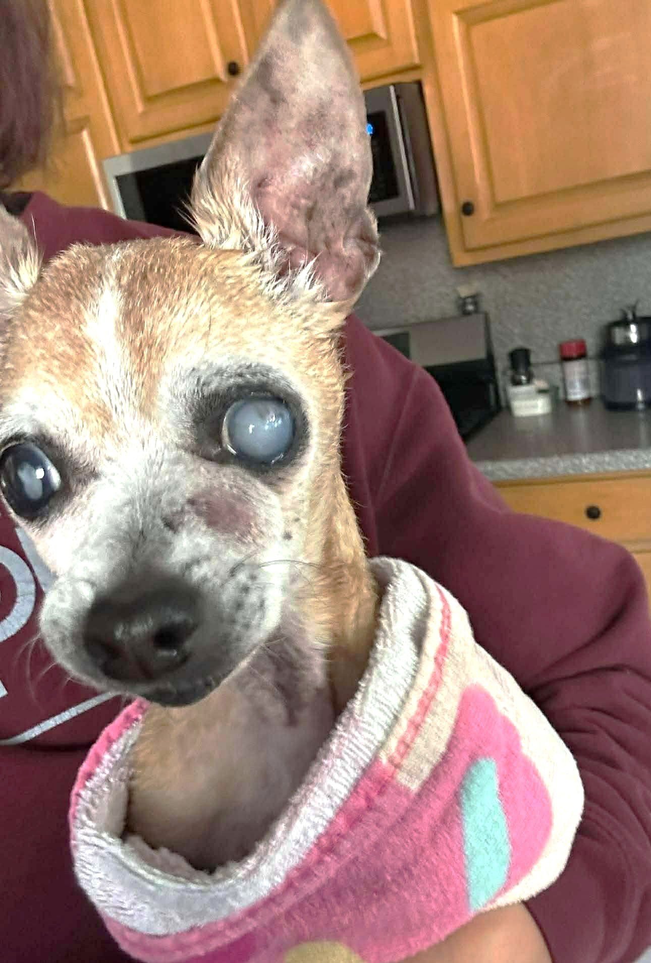 Timothina TX - Photo 3