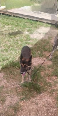Bandido 3174 - Photo 5