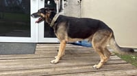 Bandido 3174 - Photo 2
