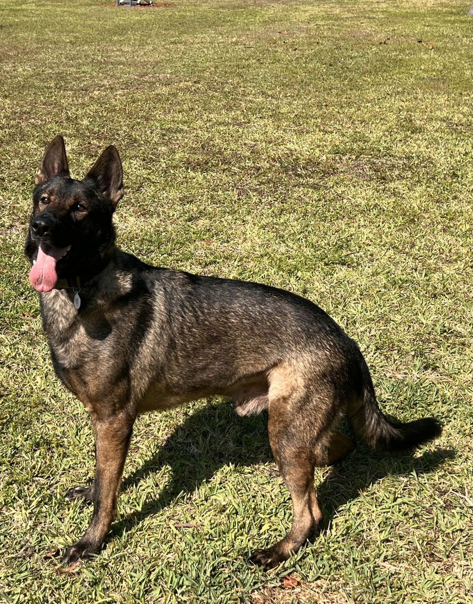 Vasco 3150 - Photo 2