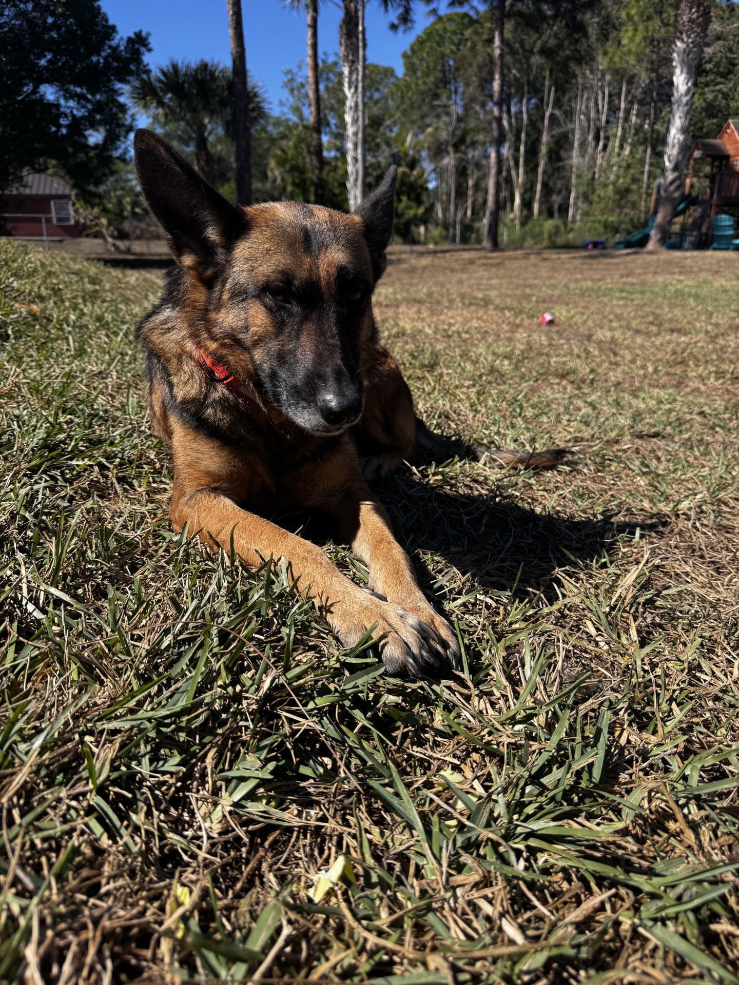 Freya 3153 - Photo 3