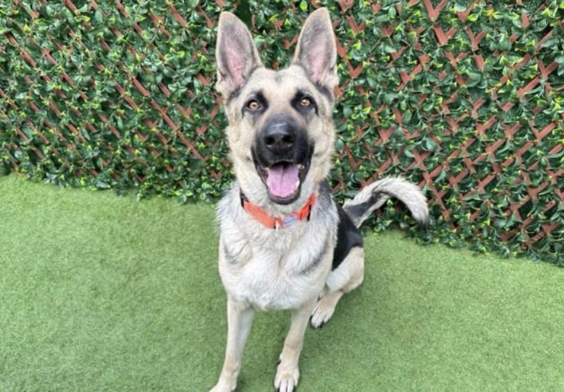 Trish 3152 - Photo 2