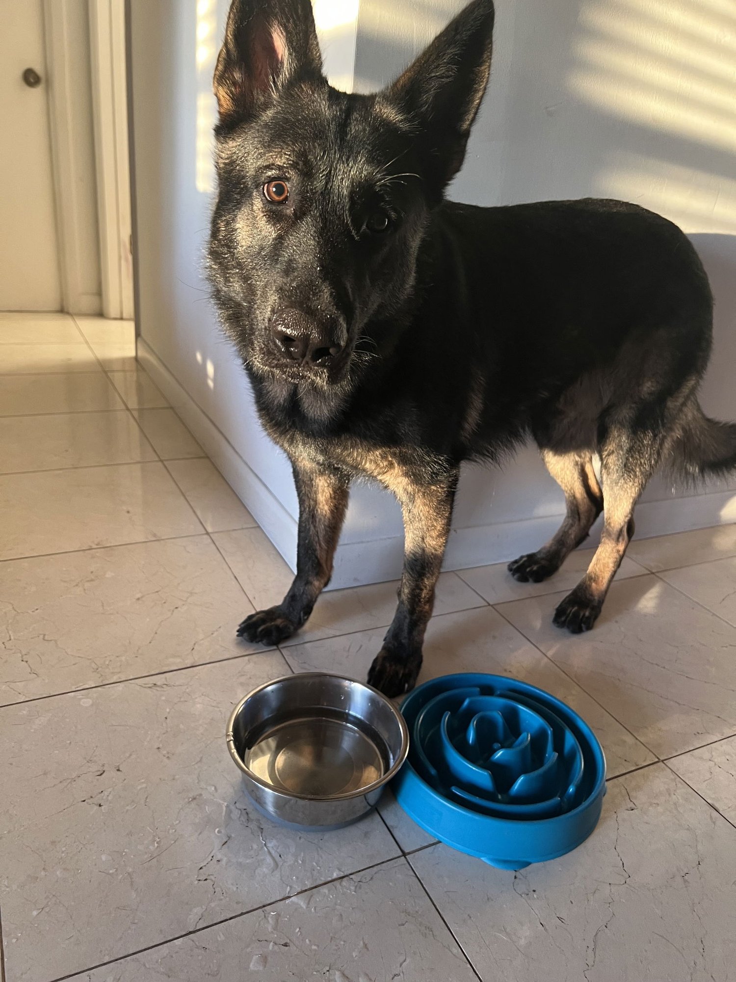 Kaiser 3148 - Photo 2