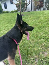 Kiiba 3167 - Photo 1