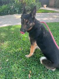 Bella 3165 - Photo 6