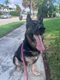 Bella 3165 - Photo 3