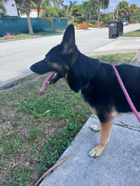 Bella 3165 - Photo 4