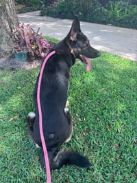 Bella 3165 - Photo 5