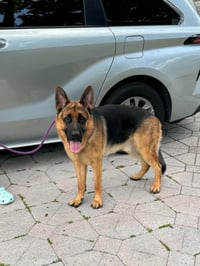 Hunter 3169 - Photo 1