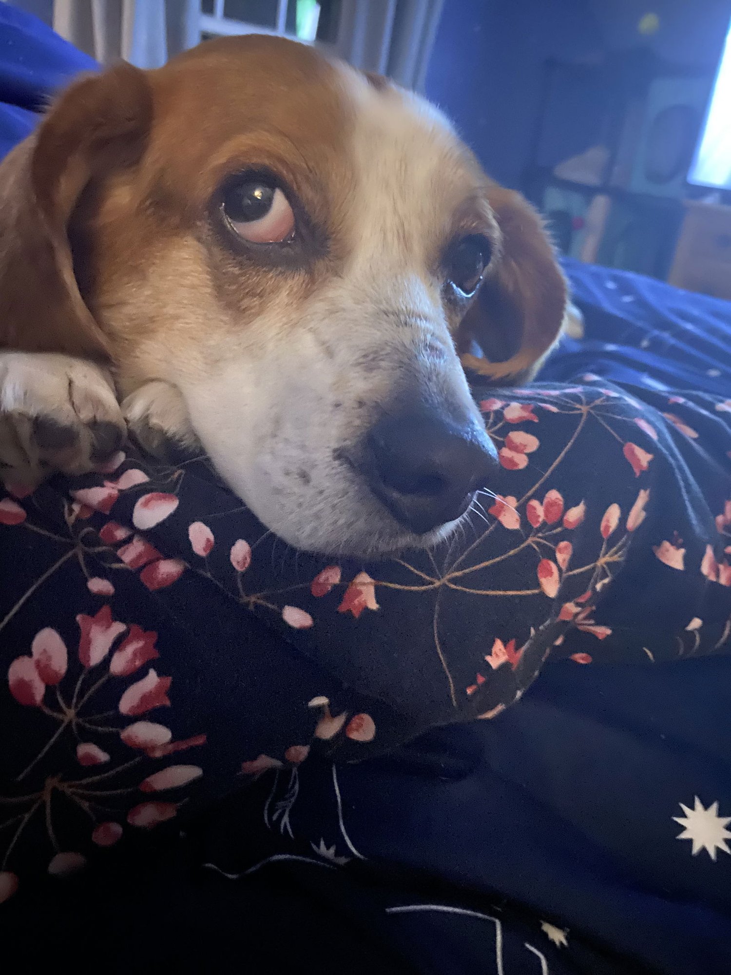 Charlie Brown - Photo 3