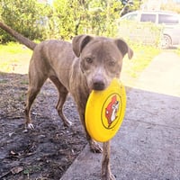 Marzen - Photo 2