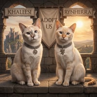 Khaleesi - Photo 6