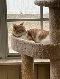 Butterball - Photo 3