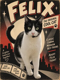 Felix - Photo 2