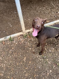 Gladys - Photo 1