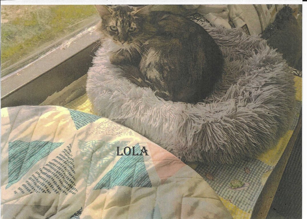 Lola Image