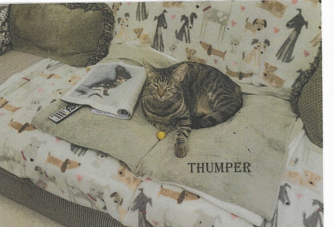 Thumper Image