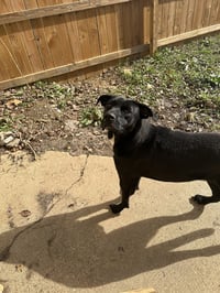 Olivia - Photo 2