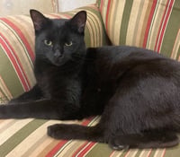 Salem - Photo 1