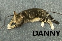 Danny - Photo 1
