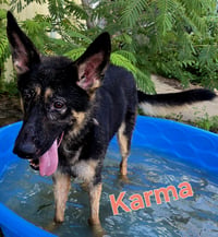 Karma - Photo 2